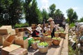 Group of people gathers apple harvest