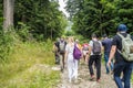 Dombay, Russia 26 July 2020: Group of people go hiking in wooded and hilly area. Rear view of tourists walking on rocky