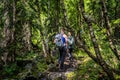 Dombay, Russia 26 July 2020: Group of people go hiking in wooded and hilly area.