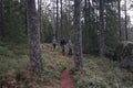 Group of people hiking in the forest in Tiveden National Park in Sweden