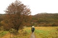 Group of People Hiking Amongst Scenic Fall Foliage in Tierra del Fuego National Park, Patagonia, Argentina, South America