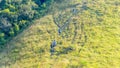 group of people hiking in landscape green glass of high hill mountain in elevation view