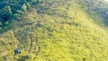 group of people hiking in landscape green glass of high hill mountain in elevation view