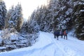 Group of people hiking on wintery snowy path in Stubai Alps mountains and small river