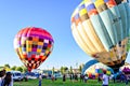 Group of people and hot air balloons on the ground during the European Balloon Festival