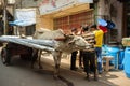 Group of people huddled together beside a cow pulling a cart in the streets of Bengaluru, India