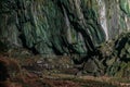 Group of people inside deer cave at Gunung Mulu national park. Sarawak.