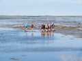 Group of people mudflat hiking on Waddensea at low tide from Friesland to West Frisian island Ameland, Netherlands Royalty Free Stock Photo