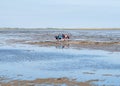 Group of people mudflat hiking on Waddensea at low tide from Friesland to West Frisian island Ameland, Netherlands