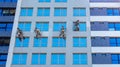 Group of people painting building walls while hanging from the ropes