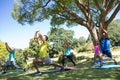 Group of people performing yoga in the park Royalty Free Stock Photo