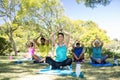 Group of people performing yoga in the park Royalty Free Stock Photo