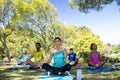Group of people performing yoga in the park Royalty Free Stock Photo
