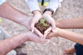 Group of people, plant and hands outdoor gardening, agriculture and growth in collaboration and above teamwork. Palm