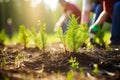 Group of People Planting Pine Trees