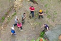 Group of people practice at a climbing training Royalty Free Stock Photo
