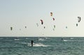 Group of people practicing kitesurf Royalty Free Stock Photo