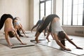 Group of people practicing yoga lesson, doing Downward facing do Royalty Free Stock Photo