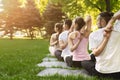 Group of people practicing yoga in park Royalty Free Stock Photo