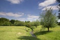 People near the Eyserbeek Royalty Free Stock Photo