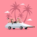 Group of people ride car open for travel holiday with palm tree behind Royalty Free Stock Photo