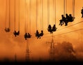 a group of people on a ride on a wire Royalty Free Stock Photo