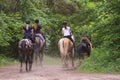 A group of people riding horses in the forest