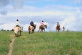 A group of people riding horses in a rural meadow Royalty Free Stock Photo