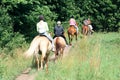 A group of people riding horses in a rural meadow along the forest Royalty Free Stock Photo