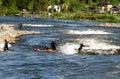 Group of people river surfing in the whitewater park. Bend, Oregon, USA