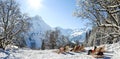 Group of people sitting with deck chairs in winter mountains. Sunbathing in snow. Germany, Bavaria, Allgau