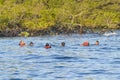 Group of People Snorkelling, Galapagos, Ecuador Royalty Free Stock Photo