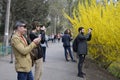Group of people taking pictures at the city park in front of yellow bush flowering