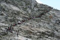 Group of people trekking