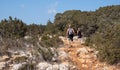 Group of people trekking in nature on a hiking trail. Exercising outdoors