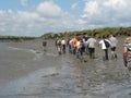 A group of people is walking along a channel during mudflat hiking in a large salt marsh area in holland in summer