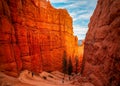 people walking in the canyon between red rocks and green trees Royalty Free Stock Photo