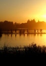 A group of people walking on the footpath on water