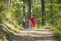 Group of people walking by hiking trail Royalty Free Stock Photo