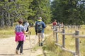 Group of people walking by hiking trail, in Rogla Royalty Free Stock Photo