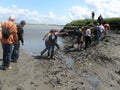 A group of people is walking at a muddy hill along a channel during mudflat hiking in a large salt marsh area in holland in summer