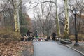 Group of people walking a multitude of dogs, along an internal path to Central Park. Royalty Free Stock Photo