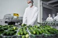 Group of people working in a packaging department