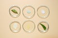 Group of petri dishes with smears of cream and aloe leaves