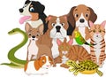 Group of pets cartoon