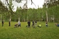 Group of photographers in the middle of forrest