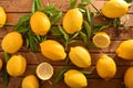 Group picked organic farming lemons on wood table top