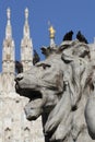 Group of Pigeons on The marvellous lion statue at Piazza Duomo of Milano Italy, dirty from bird pooping shit Royalty Free Stock Photo