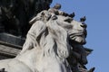 Group of Pigeons on The marvellous lion statue at Piazza Duomo of Milano Italy, dirty from bird pooping shit Royalty Free Stock Photo