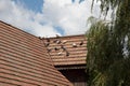 group of pigeons sits on the roof of a building
